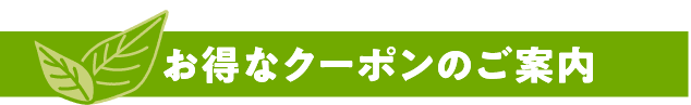 クーポン見出し.png