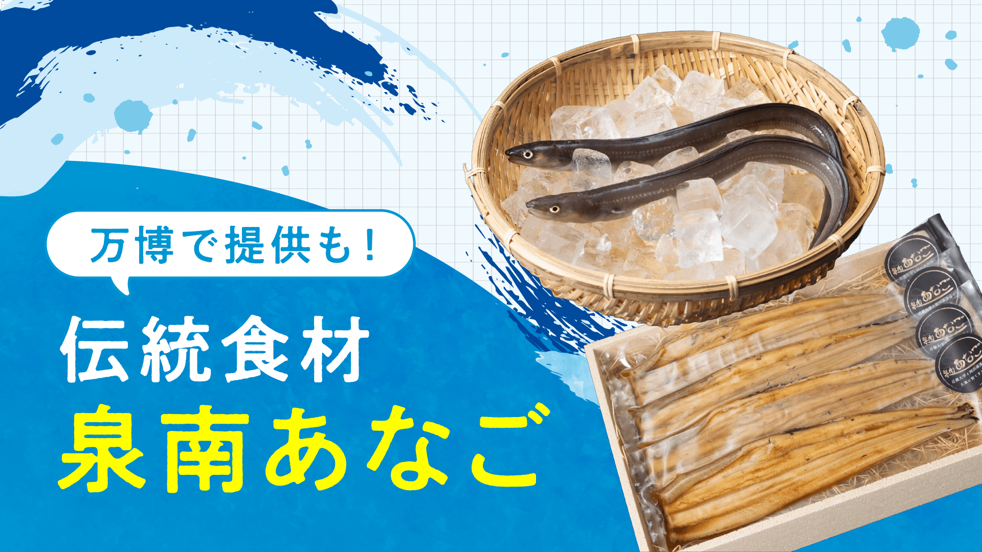 泉南あなご.png