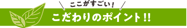 ポイント.png