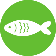 サカナ.png